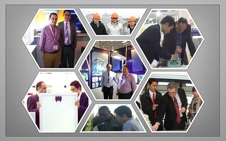 3 Inch Solar DC Water Pump High Power 210W 36V Solar Pump System for Irrigation