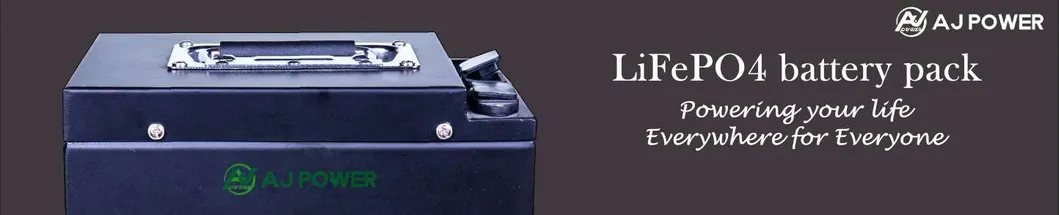 48V/51.2V 100ah 5kwh LiFePO4 Battery RS485/Can Communication Port 5u Energy Storage System solar Power