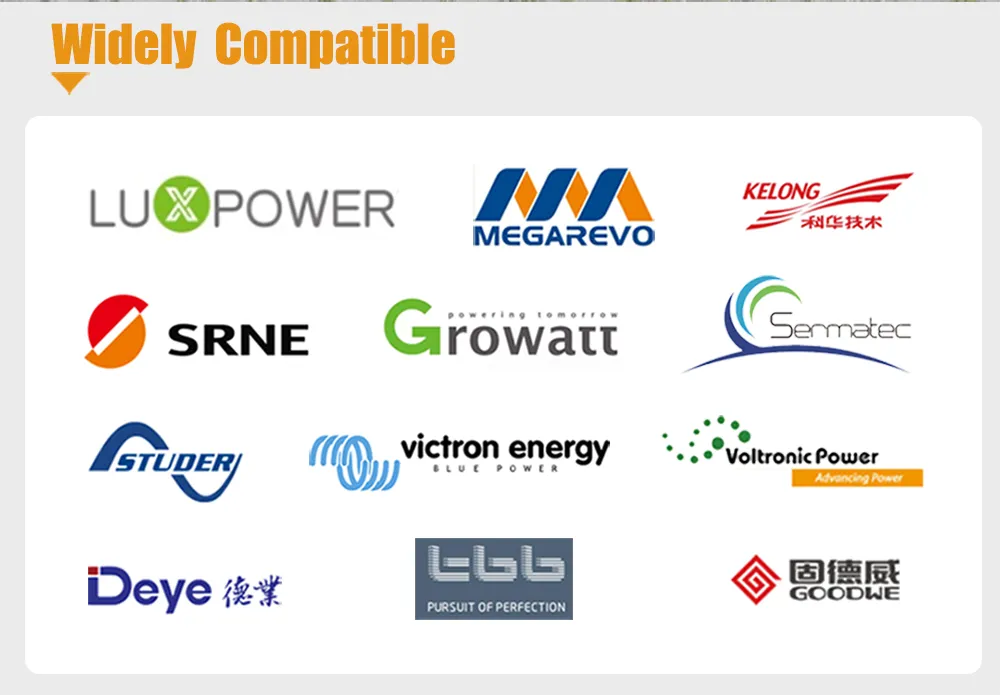 Dlg-4850 48V 50ah Bess Lithium Battery with BMS Rechargeable Storage Battery Solar Energy Storage Battery